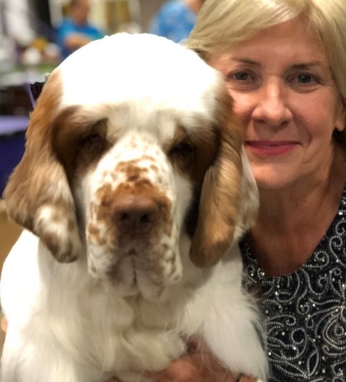 Clumber Spaniel Our Dogs